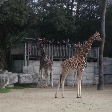 Camping Les Charmettes- Les Mathes