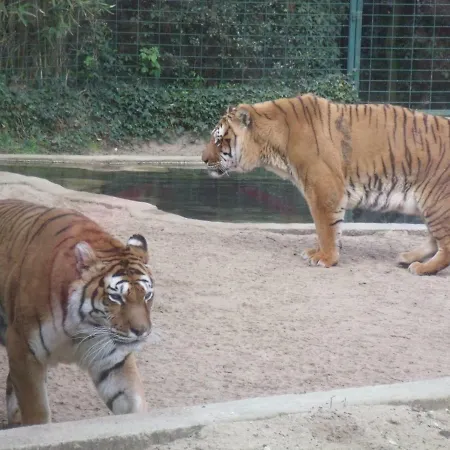 Les Charmettes- Camping Les Mathes