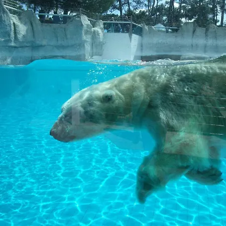 Les Charmettes- 4* Les Mathes