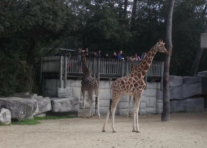 Parque de Campismo Les Charmettes- Les Mathes