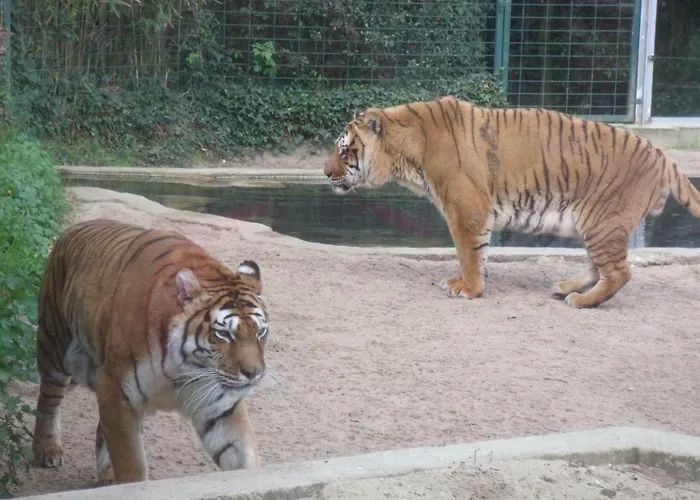 Les Charmettes- Parque de Campismo Les Mathes