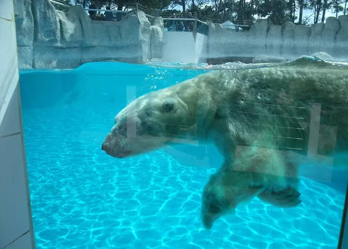 Les Charmettes- 4* Les Mathes